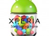 Sony Xperia Jelly Bean update