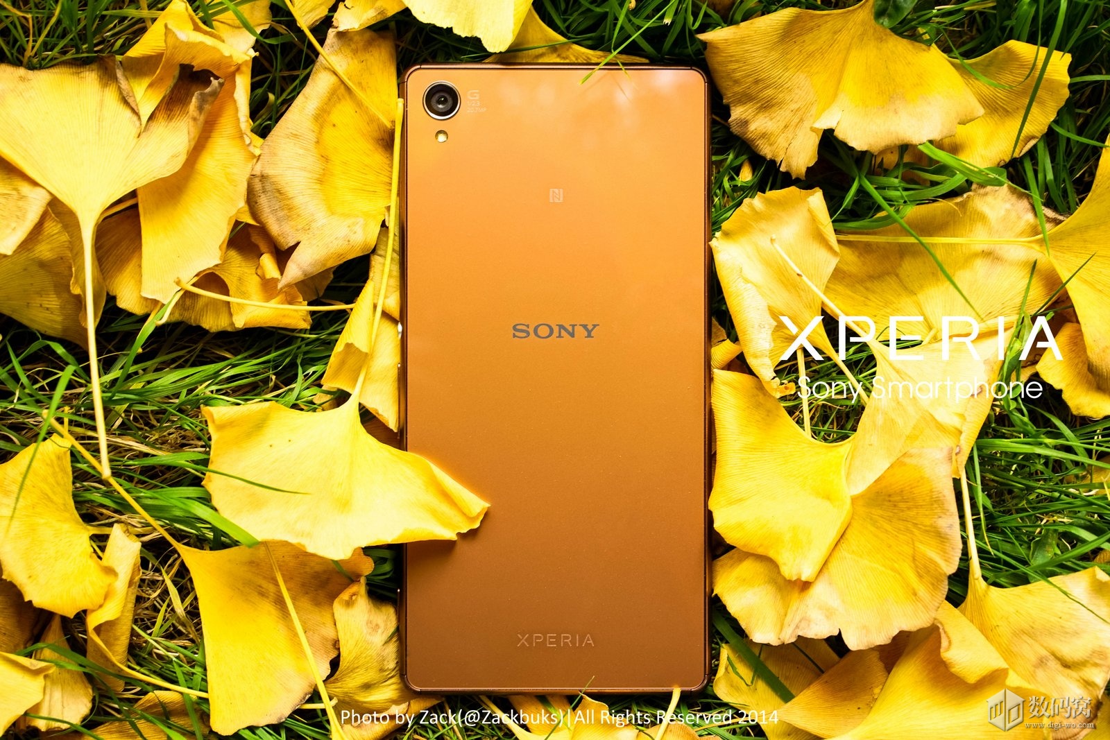 Xperia Z3 Copper