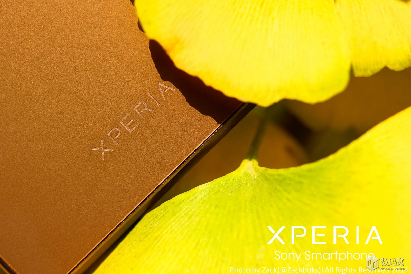 Xperia Z3 in Copper