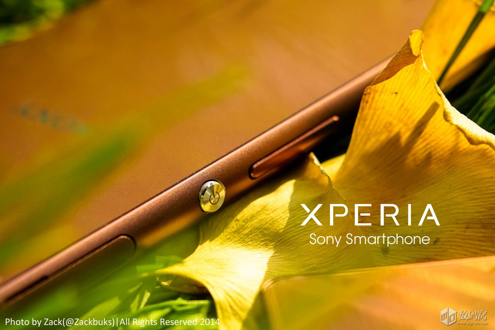 Copper colored Xperia Z3 in pic