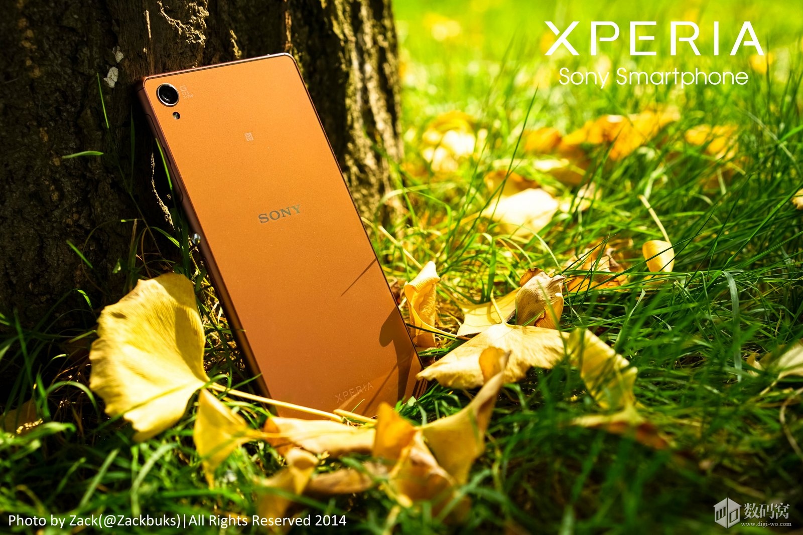 Xperia Z3 Pics Copper Colored