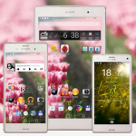 Try out Xperia Spring & Valentine’s Day Theme