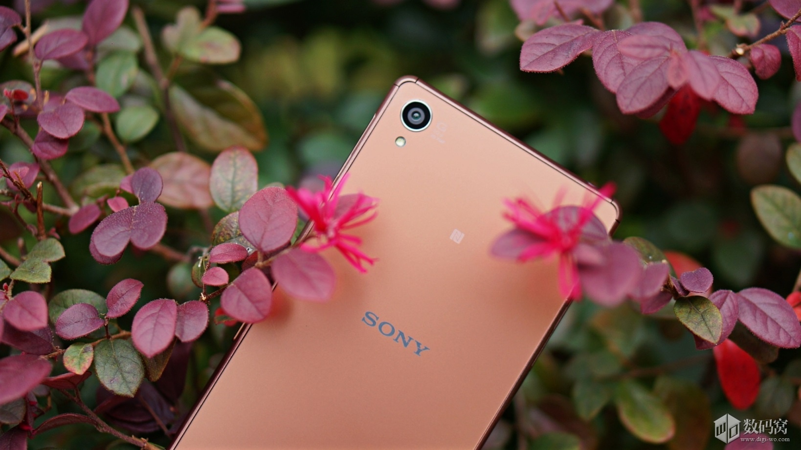 Xperia Z3 Copper Color Model